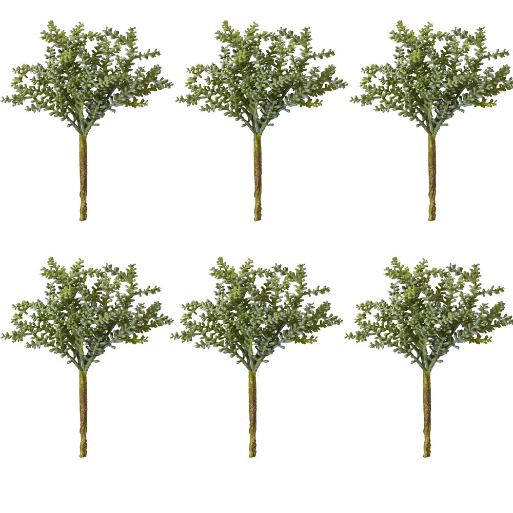 /assets/full/CHW-PL.031.GN_6PK.jpg?20260728103123
