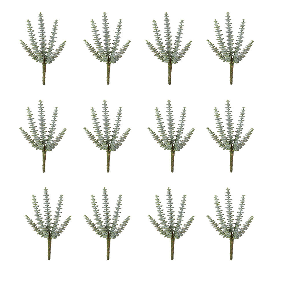 /assets/full/CHW-PL.032.GYGN_12PK.jpg?20260728103125
