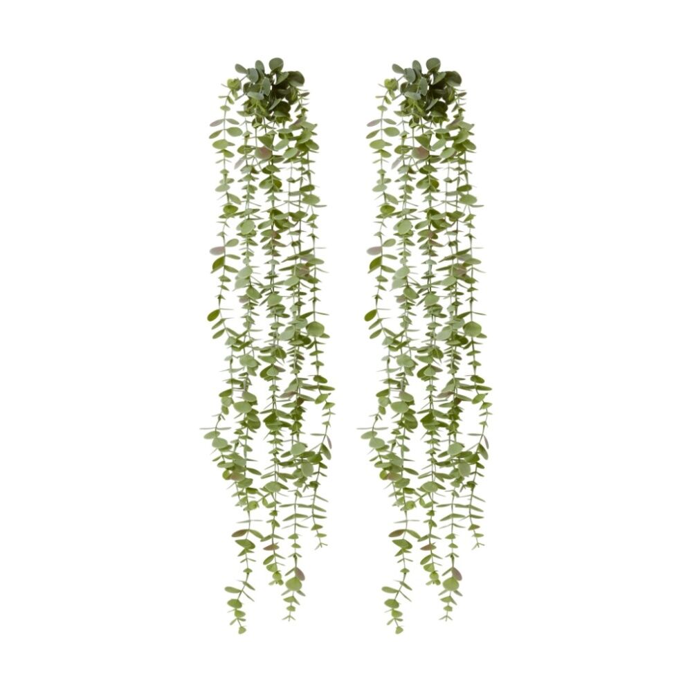 /assets/full/CHW-PL.073.GN_2PK.jpg?20260728103247