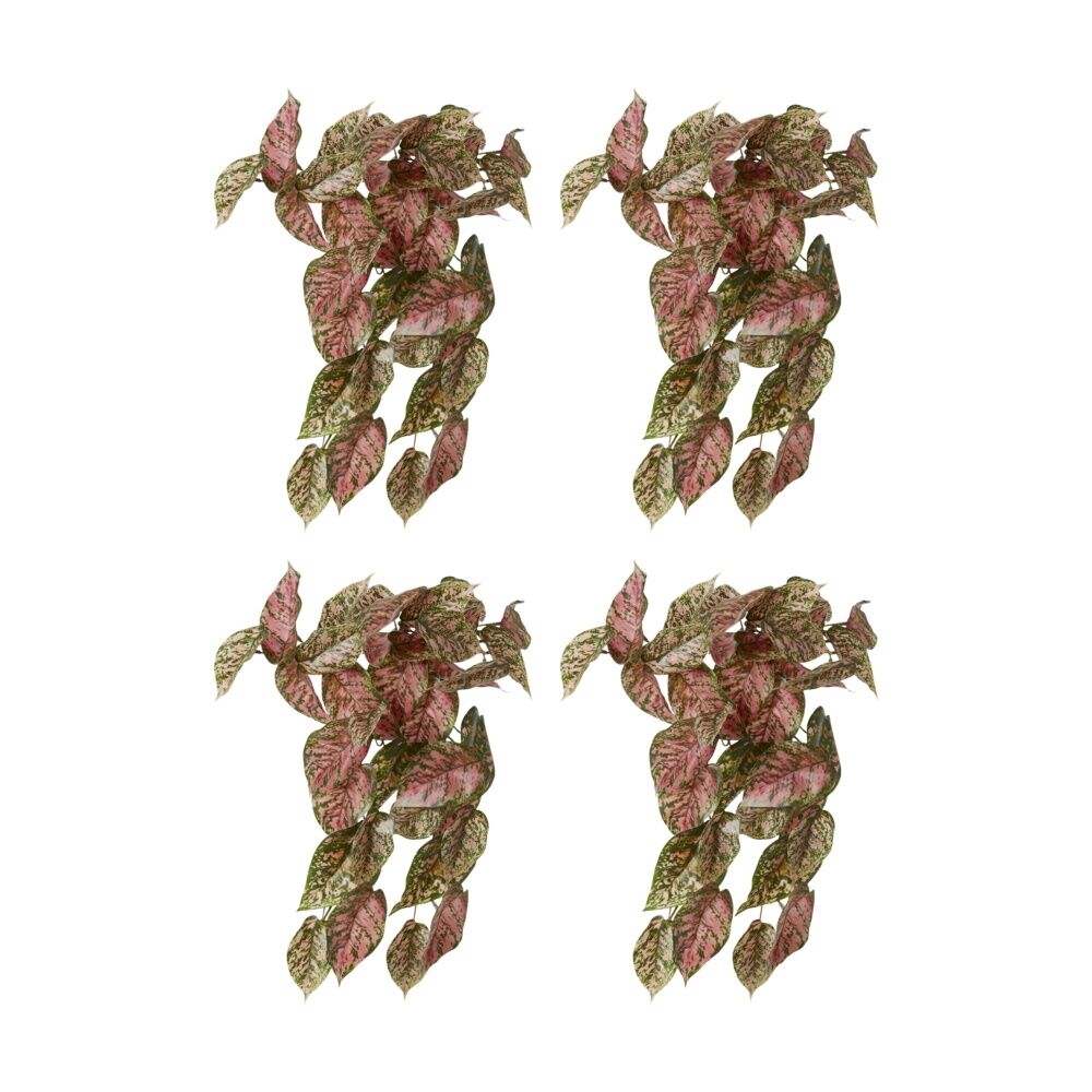 /assets/full/CHW-PL.085.GNPK_4PK.jpg?20260728103306