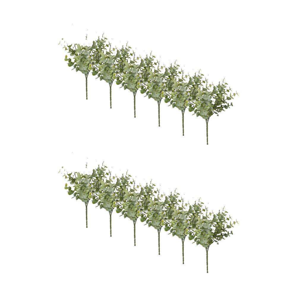 /assets/full/CHW-PL.087.GN_12PK.jpg?20260728103308