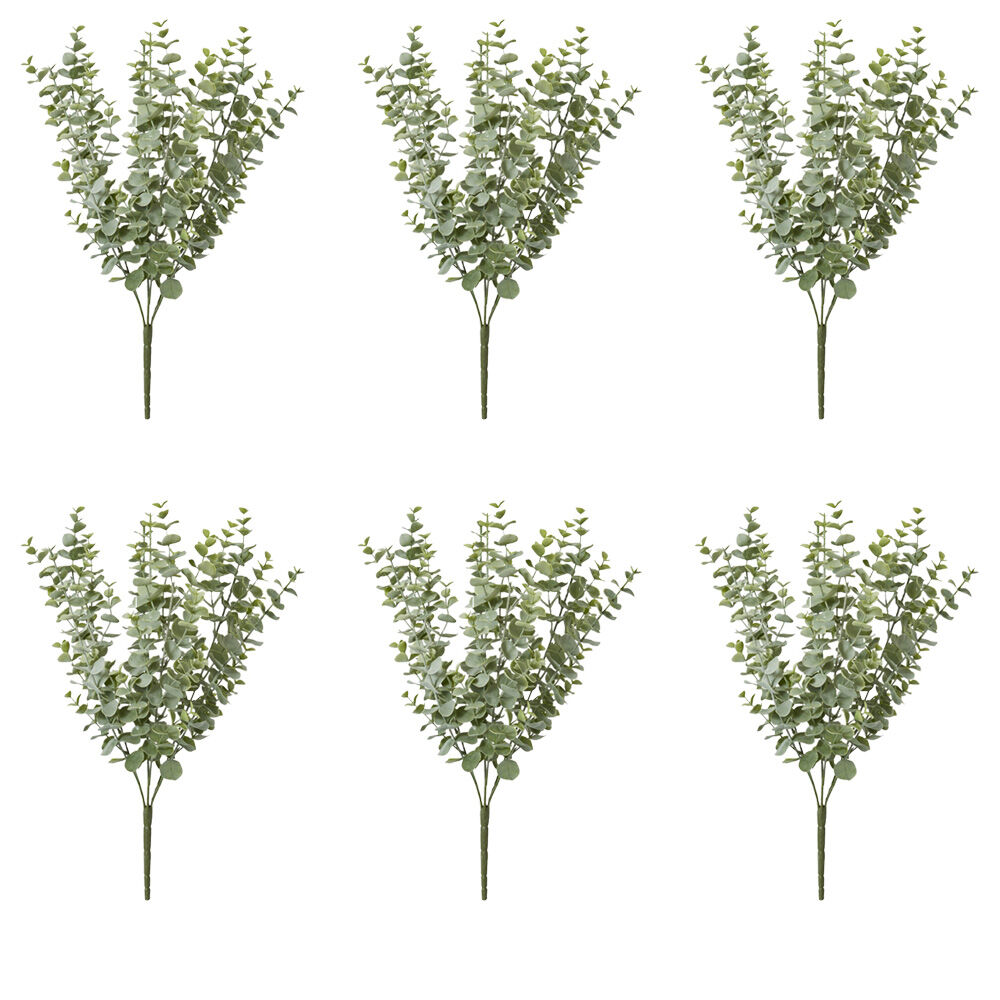 /assets/full/CHW-PL.088.GYGN_6PK.jpg?20260728103313