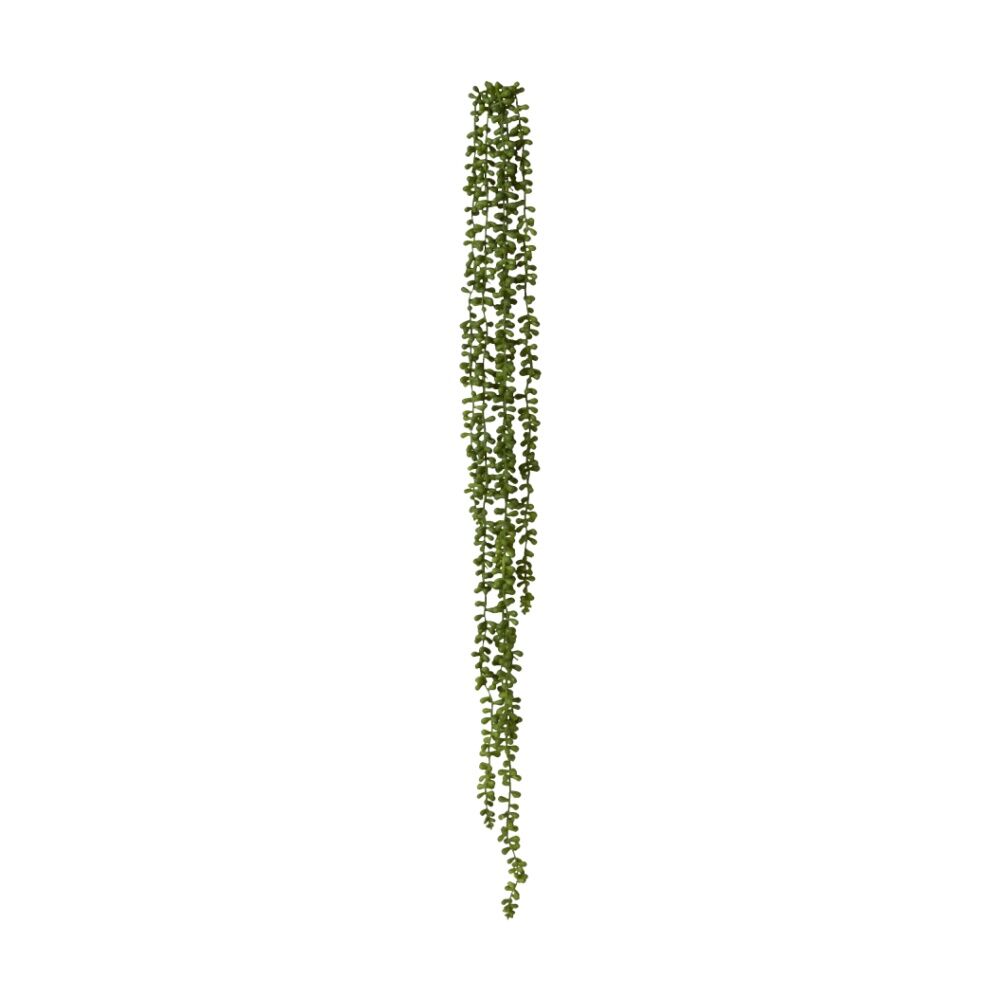 /assets/full/CHW-PL.105.GN.jpg?20260728100149