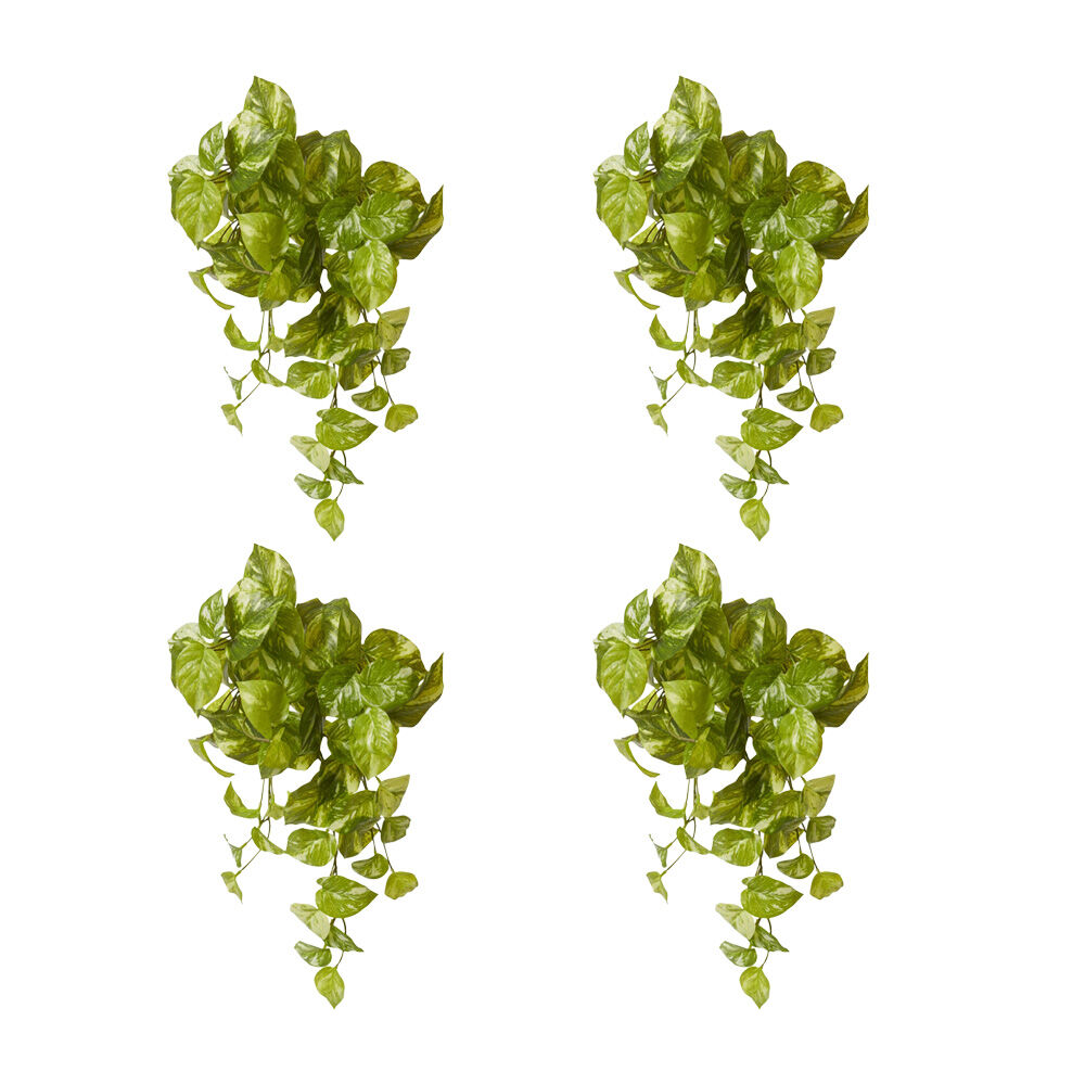 /assets/full/CHW-PL.130.GNWH_4PK.jpg?20260728103406