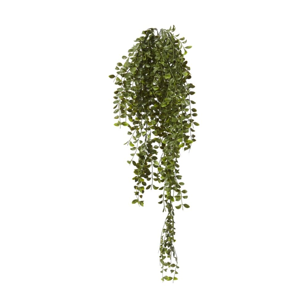 /assets/full/CHW-PL.147.GN.jpg?20260728100205