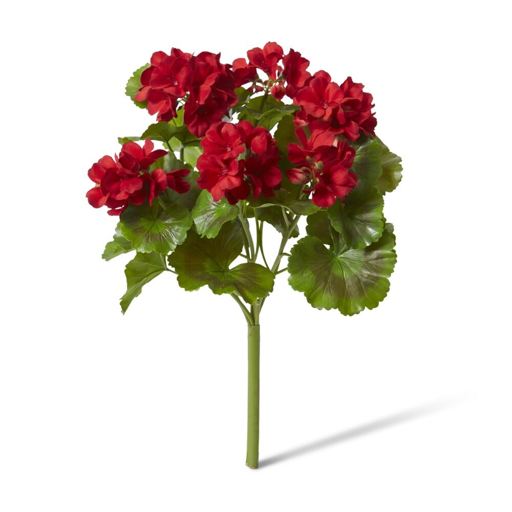 /assets/full/CHW-PL.175.RD.jpg?20260728101524