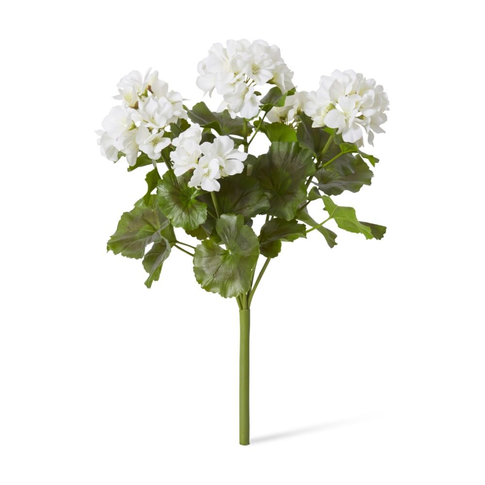 /assets/full/CHW-PL.175.WH.jpg?20260728101527