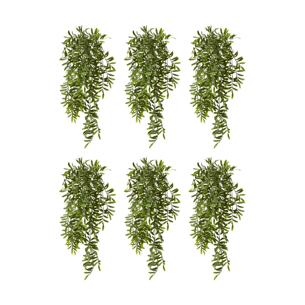 /assets/full/CHW-PL.188.GN_6PK.jpg?20260728101559