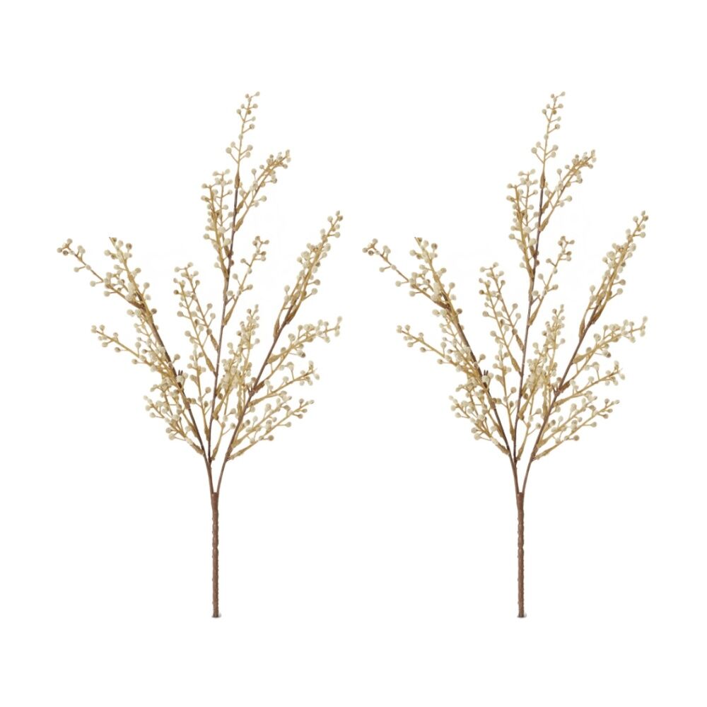/assets/full/CHW-PL.195.NT_2PK.jpg?20260728101636