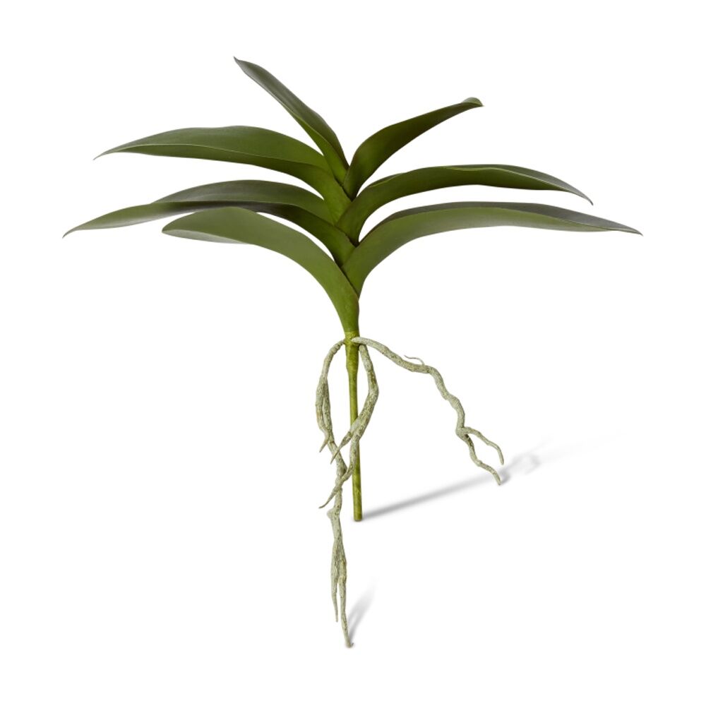 /assets/full/CHW-PLP.015.GN.jpg?20260728101752