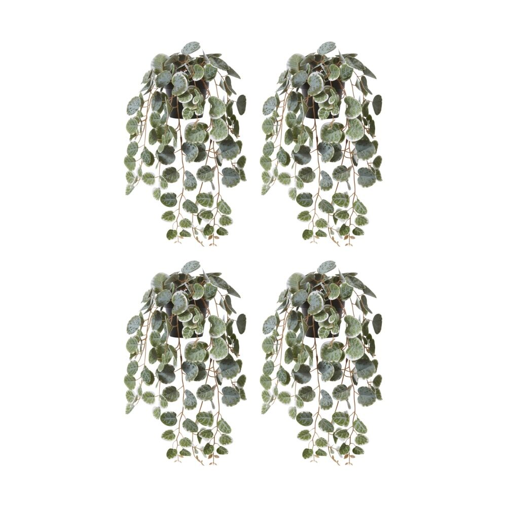 /assets/full/CHW-PP.237.GN_4PK.jpg?20260728101927
