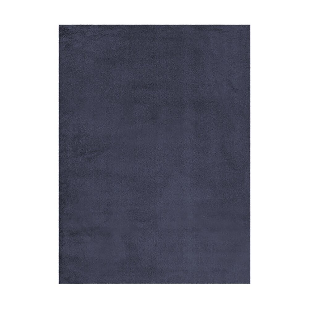 /assets/full/CHW-RUG1624007.jpg?20260827101750