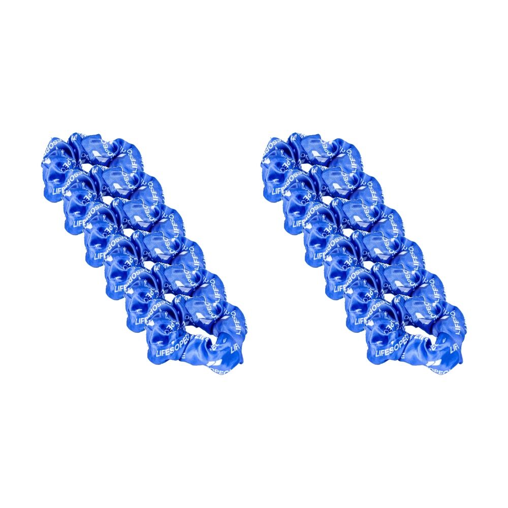 /assets/full/CHW-SCR-CBLU_12PK.jpg?20260127124711