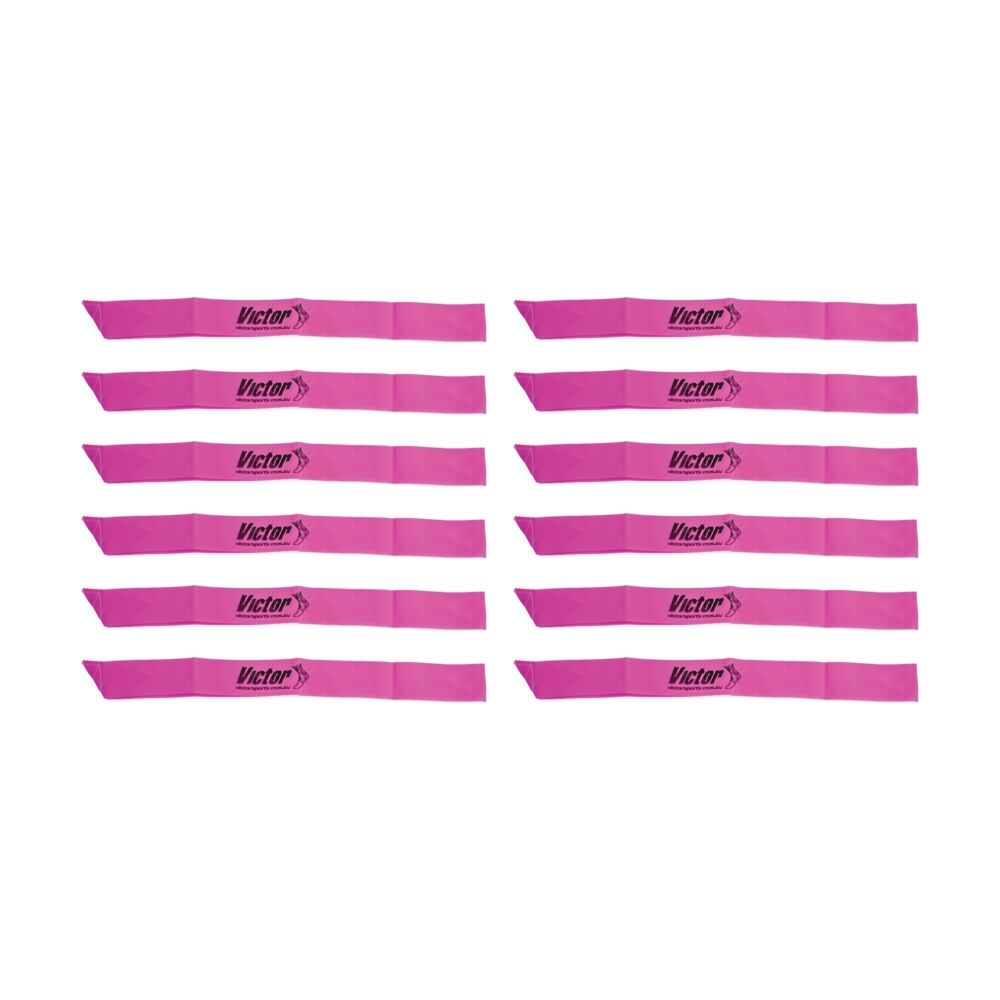 /assets/full/CHW-VFGNSPI_12PK.jpg?20260629113512