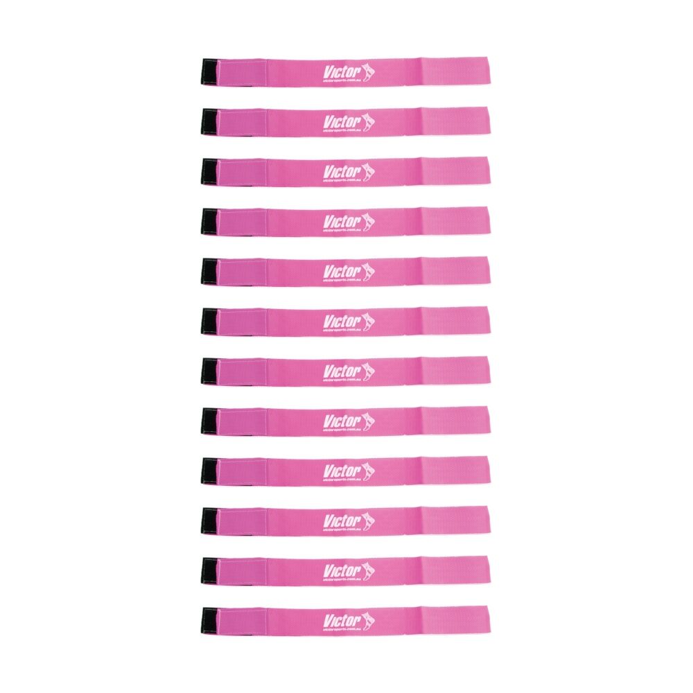 /assets/full/CHW-VFGNSVPI_12PK.jpg?20260626103259