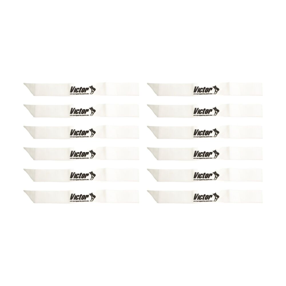 /assets/full/CHW-VFGNSWH_12PK.jpg?20260629113521