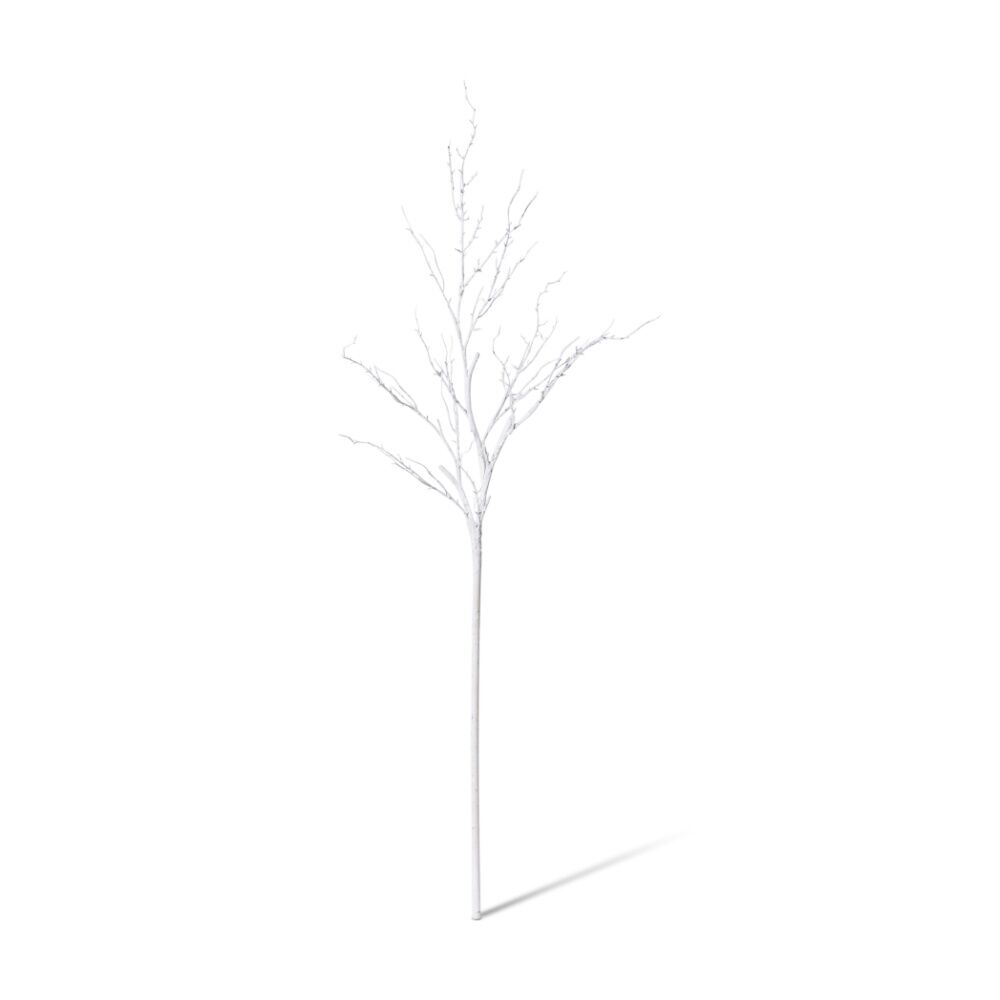 /assets/full/CHW-XM.024.WH.jpg?20260827130024