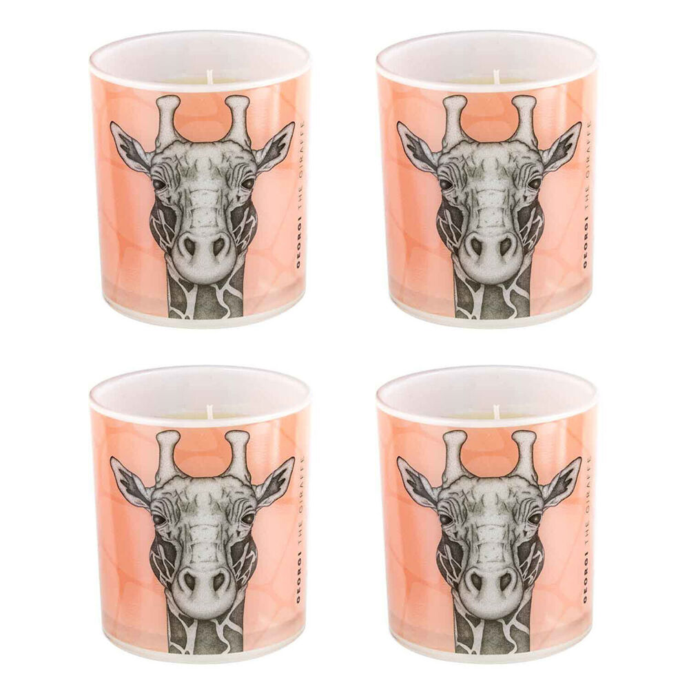 /assets/full/DD012_4PK.jpg?20250423114559