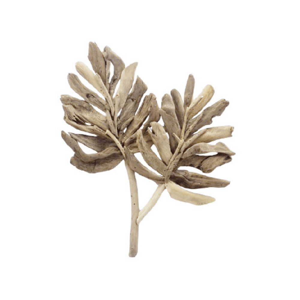 /assets/full/DW15520.jpg?20250922161831