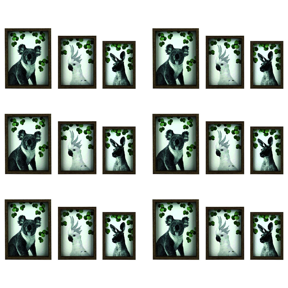 /assets/full/E5721_6PK.jpg?20250819123110