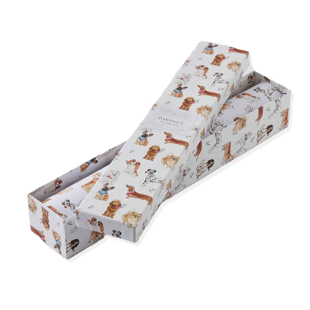 6pc Pilbeam Living Pawfect Scented Drawer Liners Pear Blossom