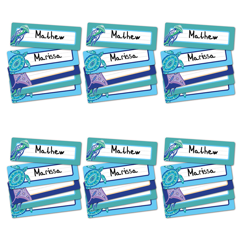 /assets/full/EVTONP_6PK.jpg?20251007103255