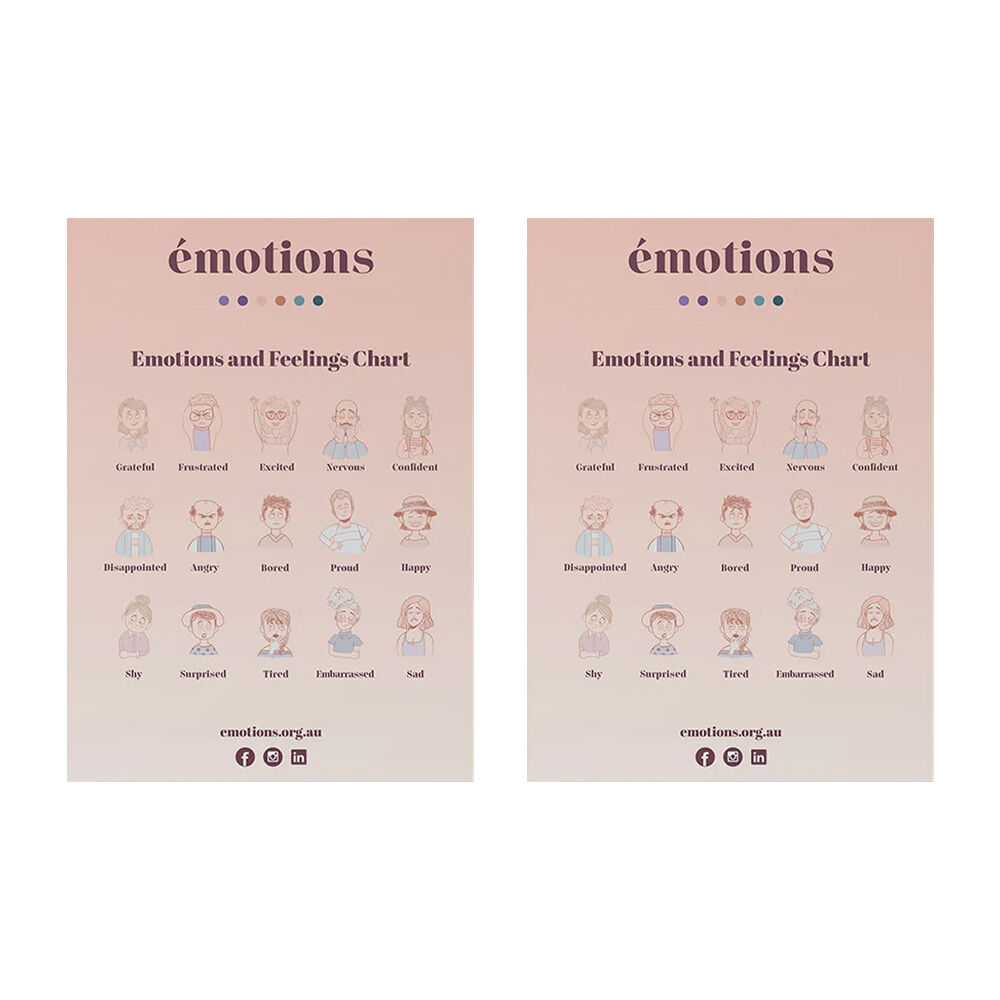 /assets/full/FEEL-CHART-A2_2PK.jpg?20250212092704