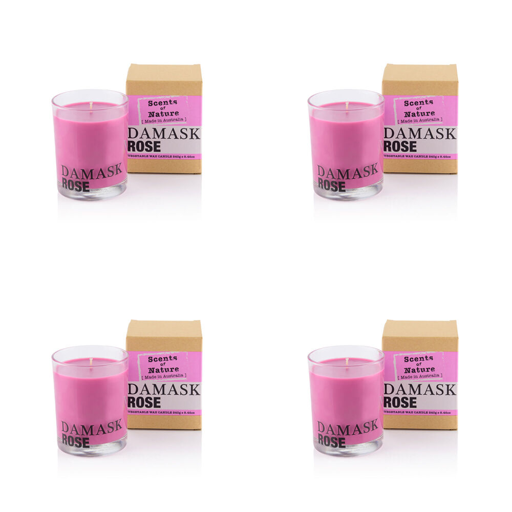 /assets/full/FG1260_4PK.jpg?20251016154533