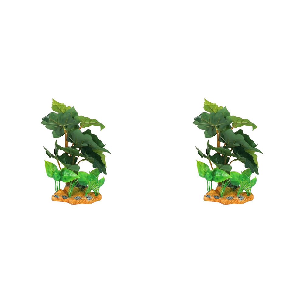 /assets/full/FISH-325337_2PK.jpg?20250220170136