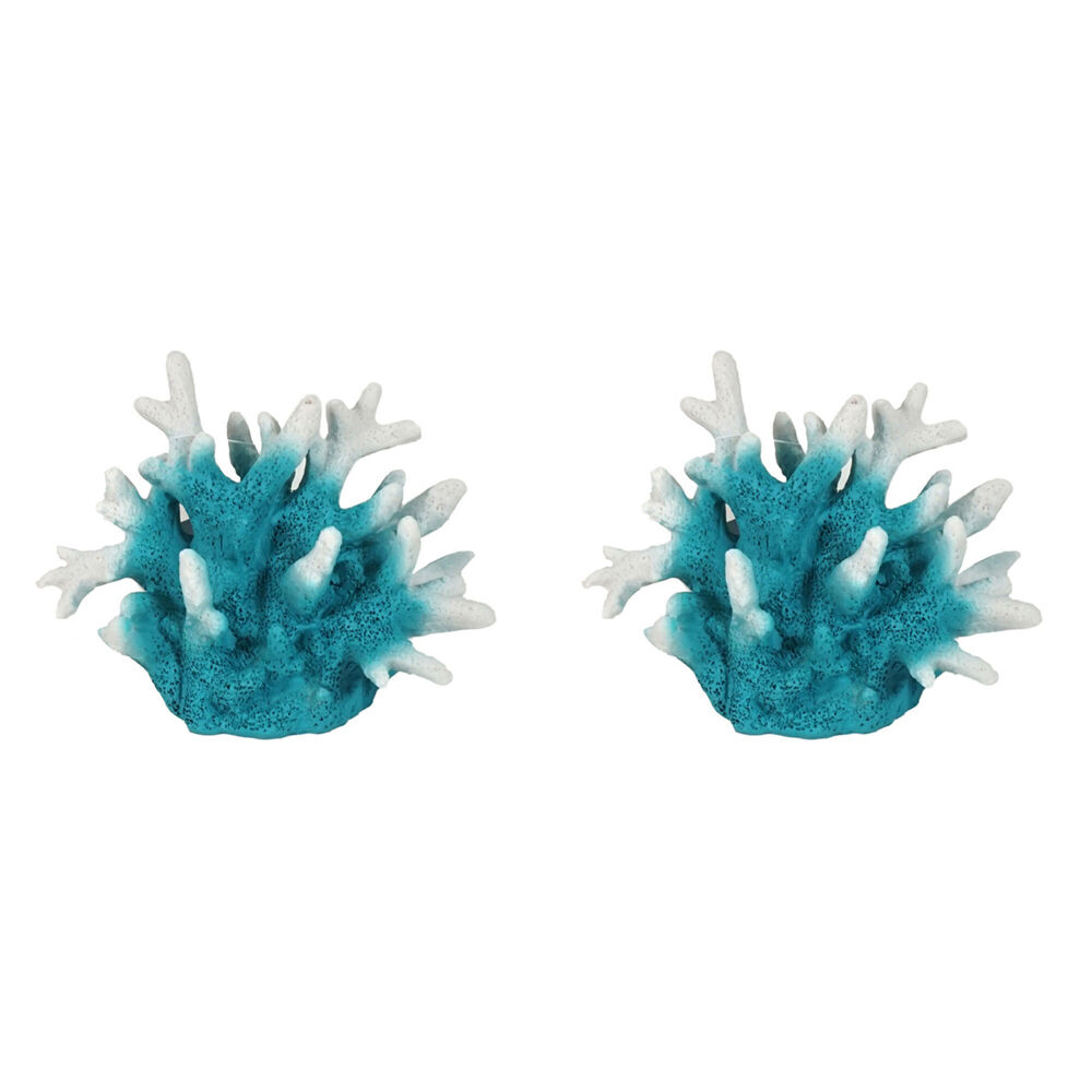 /assets/full/FISH-325368_2PK.jpg?20250220170055
