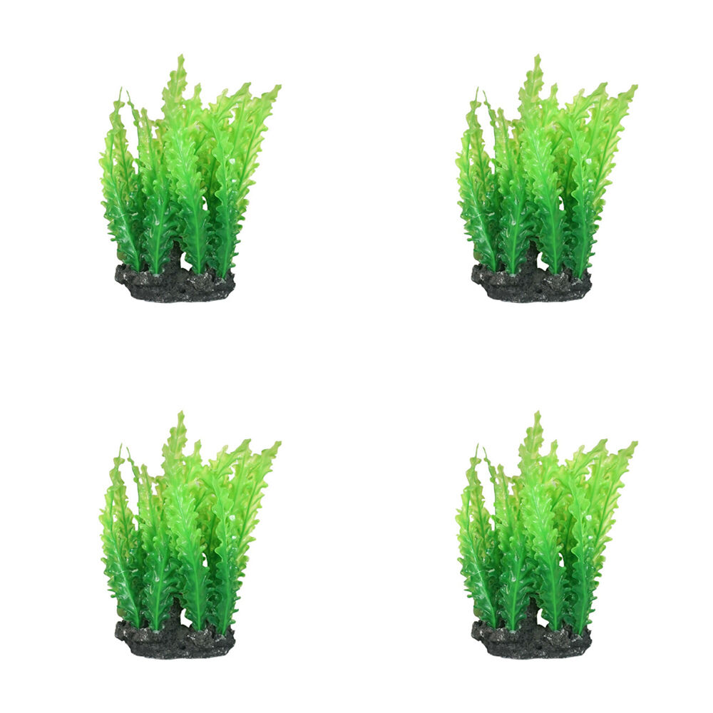 /assets/full/FISH-325429_4PK.jpg?20250220170133