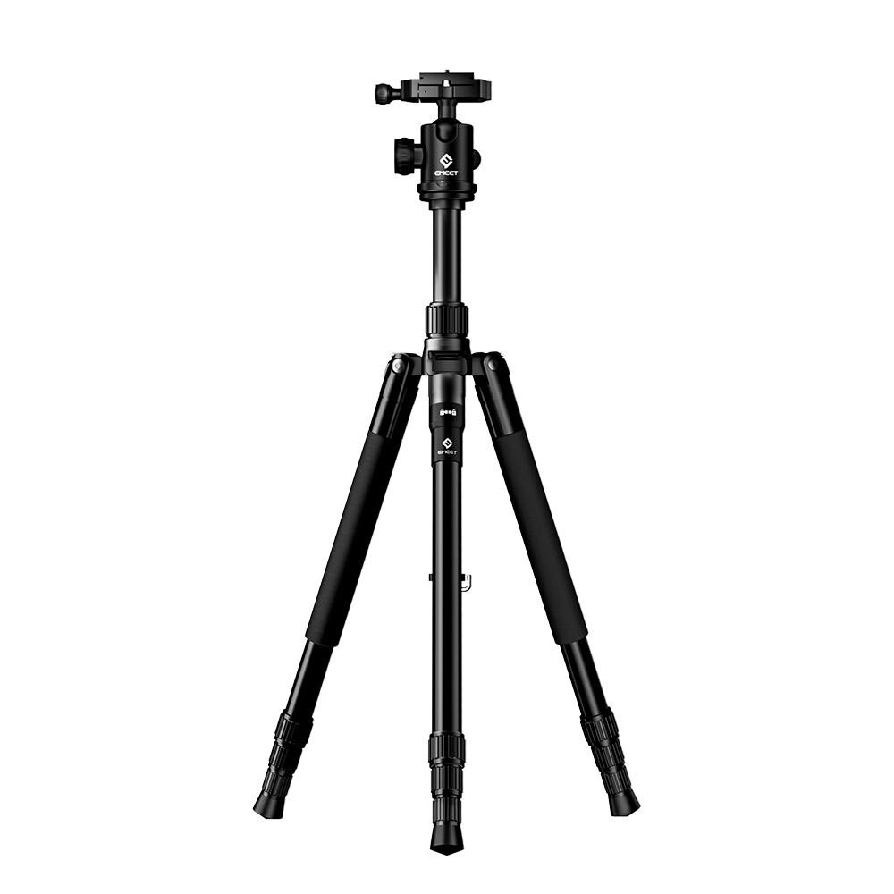/assets/full/FLOORTRIPOD.jpg?20240215130426