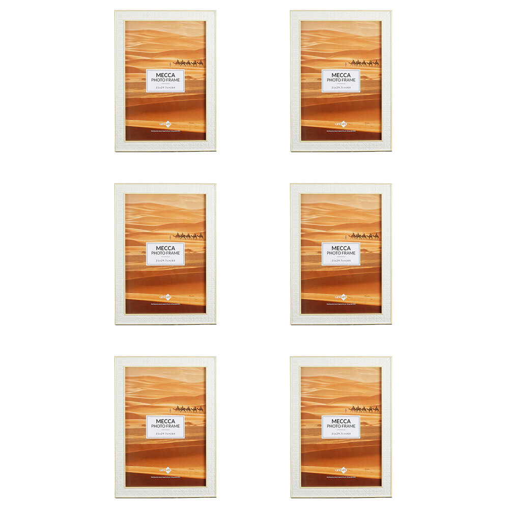 /assets/full/FRA-314959_6PK.jpg?20240507144604
