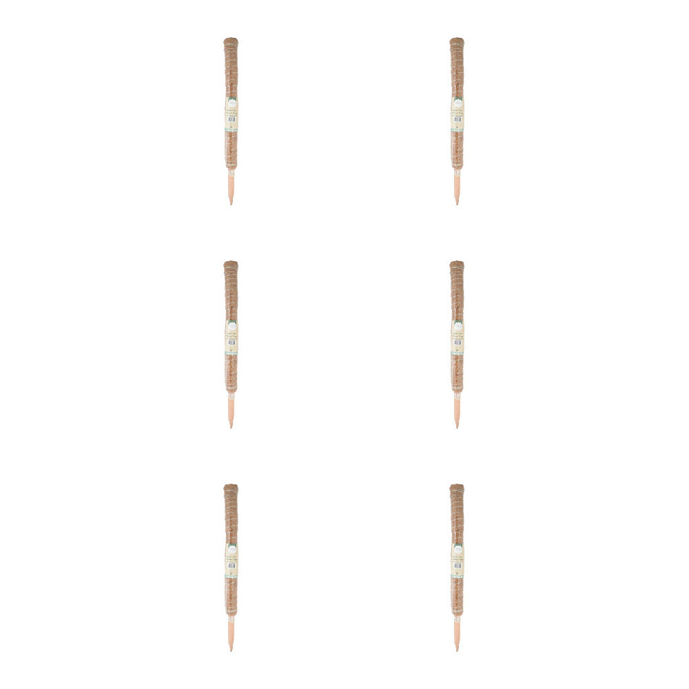 /assets/full/GAR-333820_6PK.jpg?20250220170211