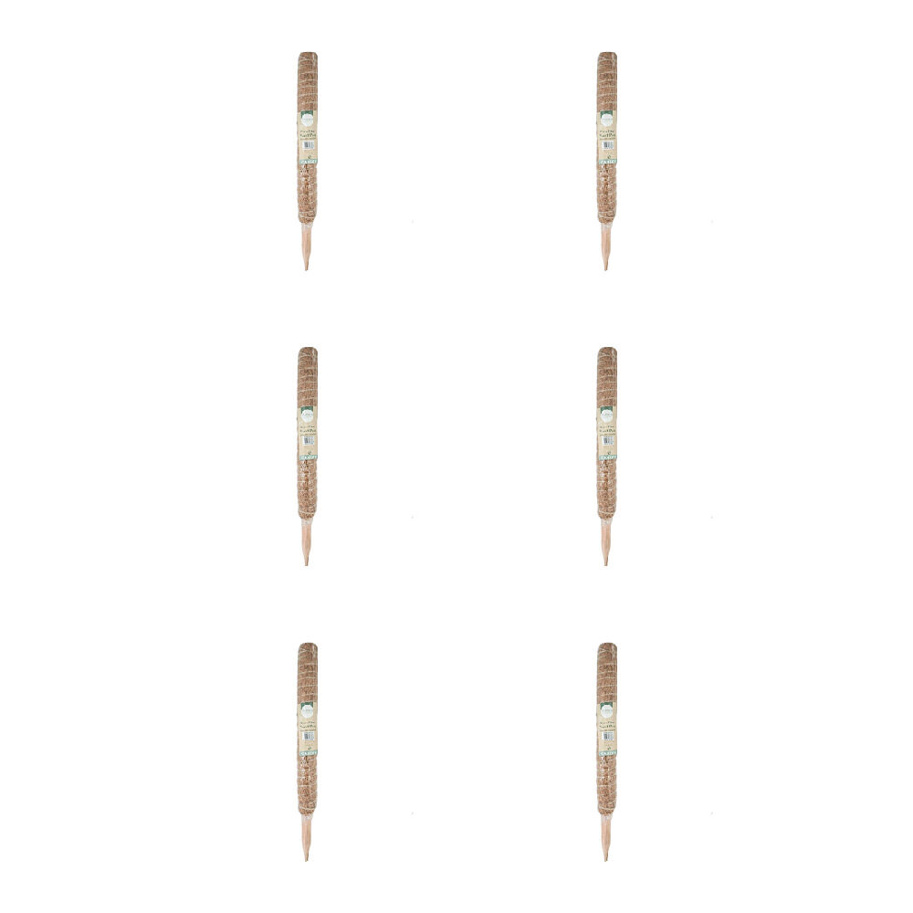 /assets/full/GAR-333837_6PK.jpg?20250220170201
