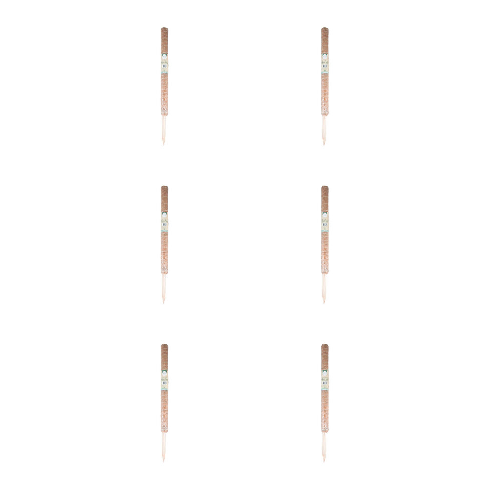 /assets/full/GAR-333844_6PK.jpg?20250220170218