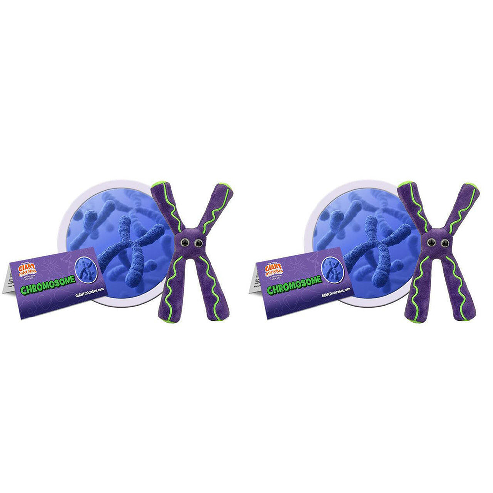 /assets/full/GM-0142_2PK.jpg?20240718153209