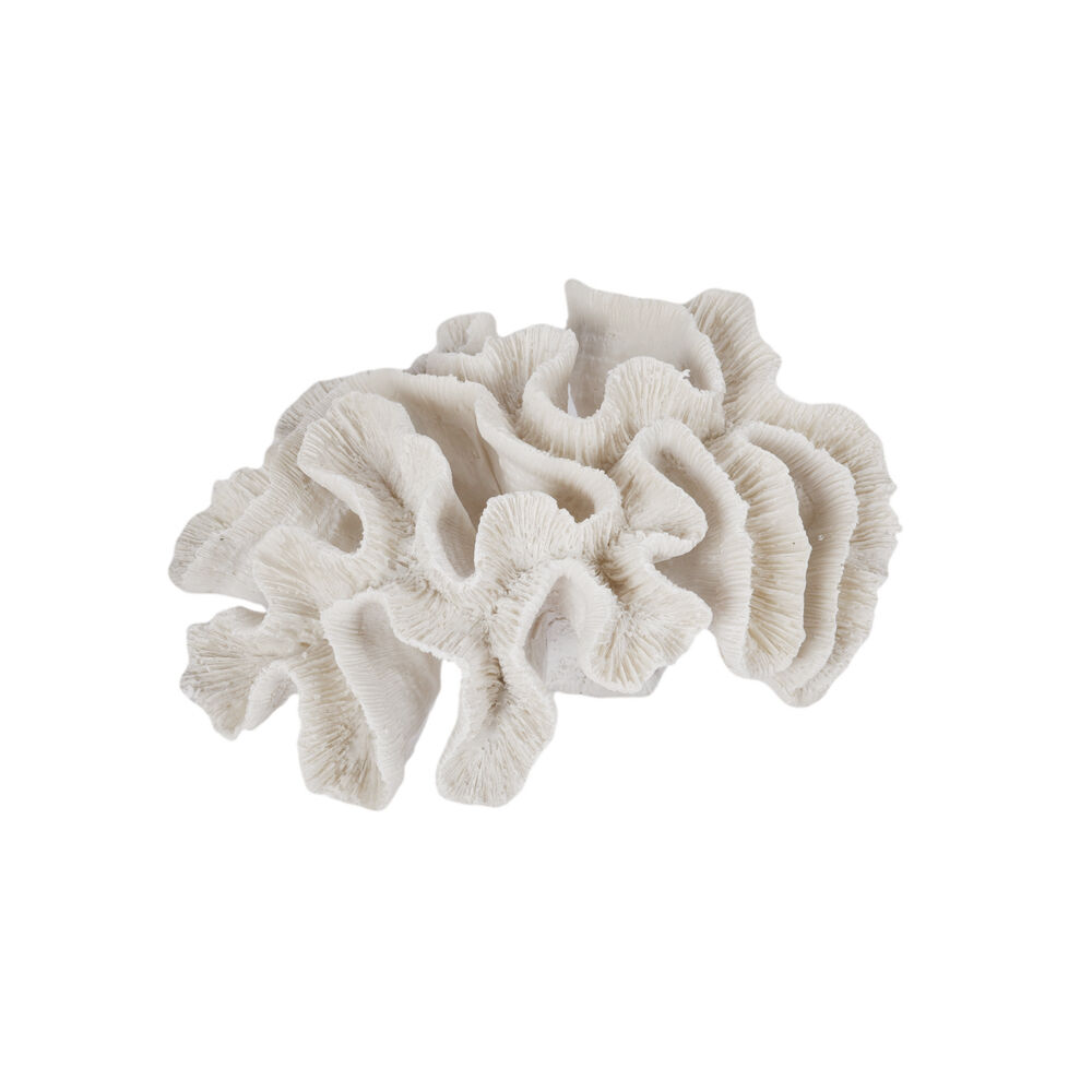 /assets/full/HE4502.jpg?20250925091647