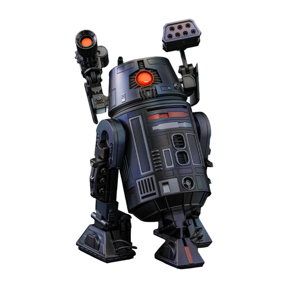 /assets/full/HOTCMS017.jpg?20250520131928