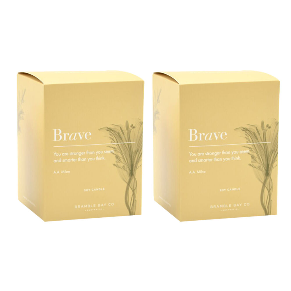 /assets/full/INSCAN-02_2PK.jpg?20250922120130