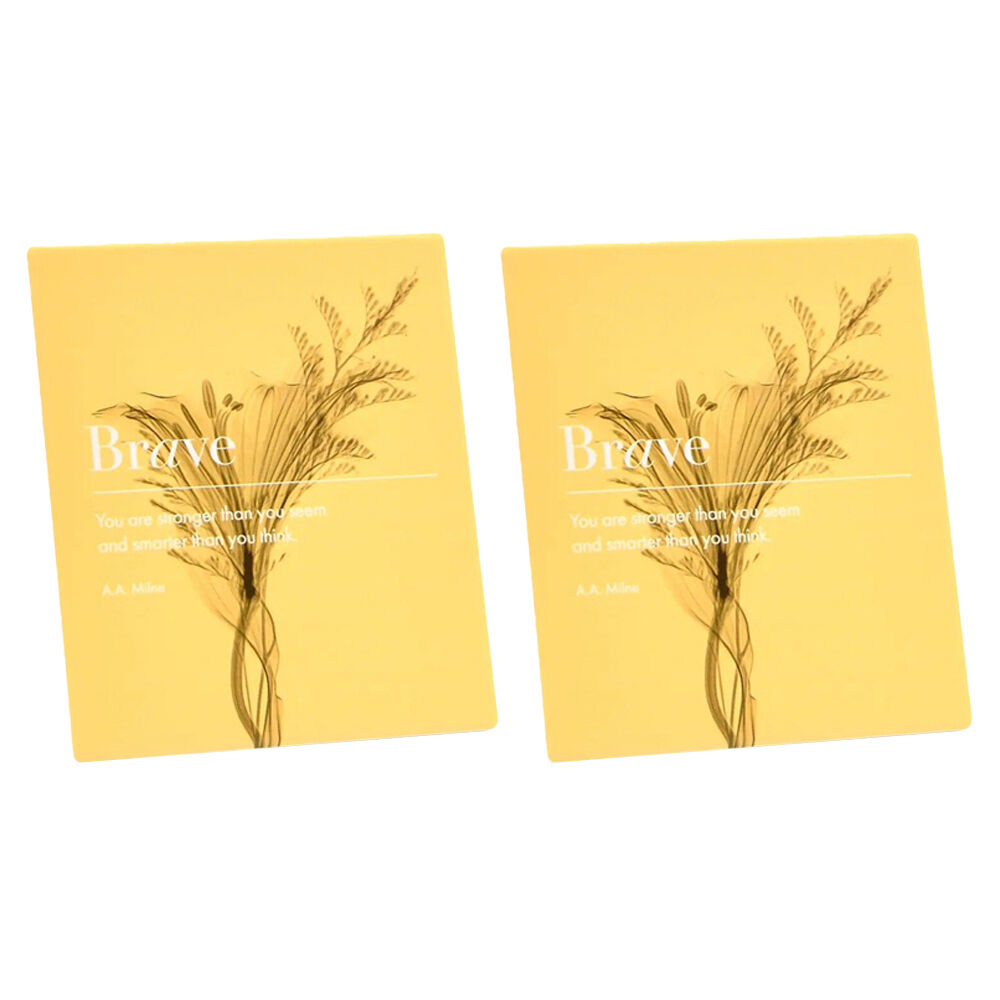 /assets/full/INSPLAQ-02_2PK.jpg?20250922120216