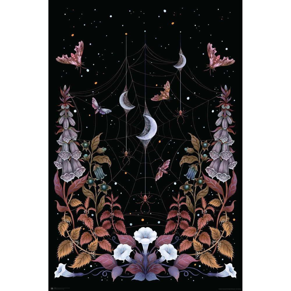 /assets/full/IP0050.jpg?20250903131655