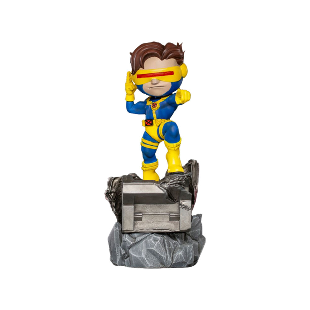 /assets/full/IRO28310.jpg?20250514133302