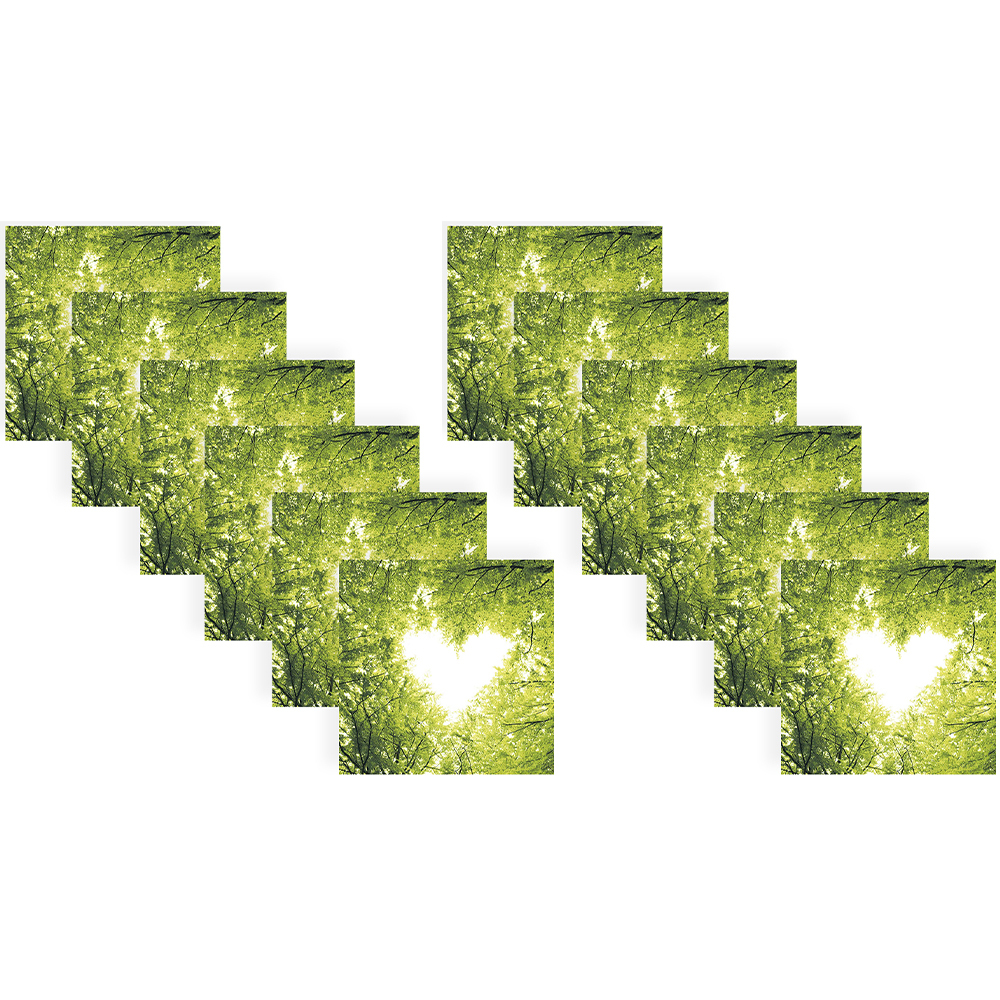 /assets/full/L195088_12PK.jpg?20240926133051