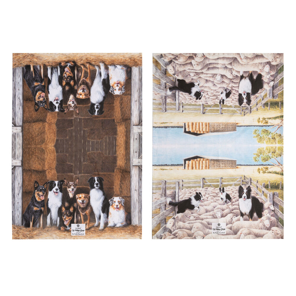 /assets/full/LA-522617.jpg?20250813173120