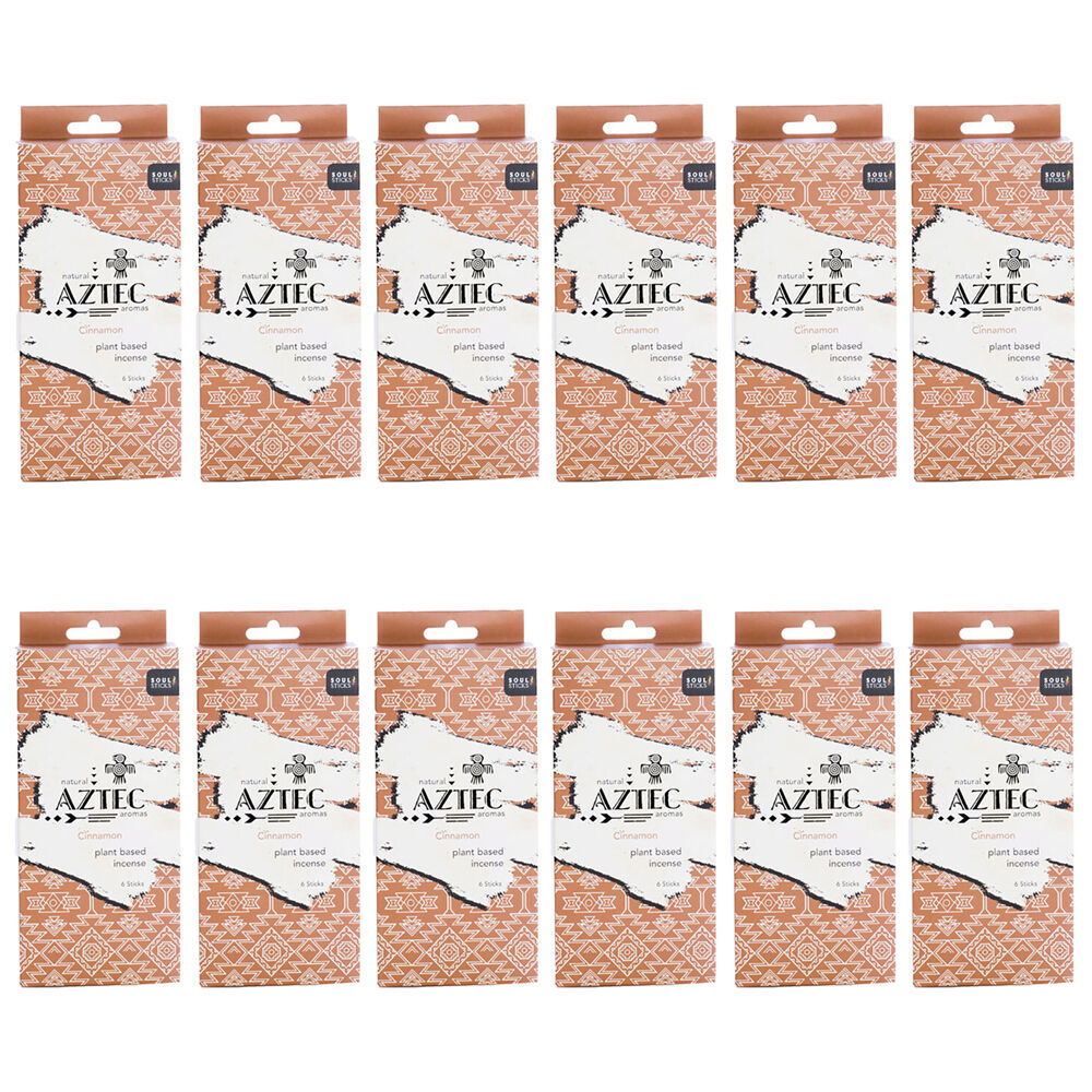 /assets/full/MDI-DS-AI-CI_12PK.jpg?20250618093133
