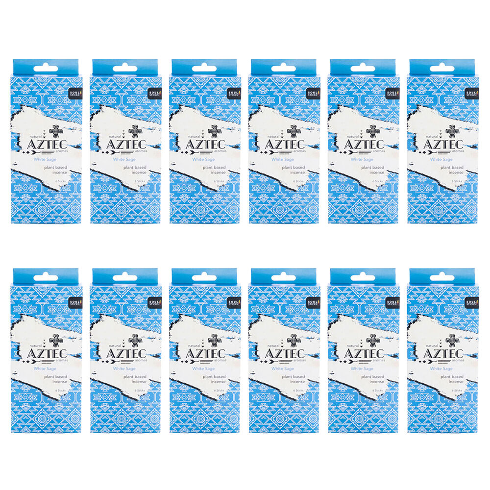 /assets/full/MDI-DS-AI-WS_12PK.jpg?20250618093054