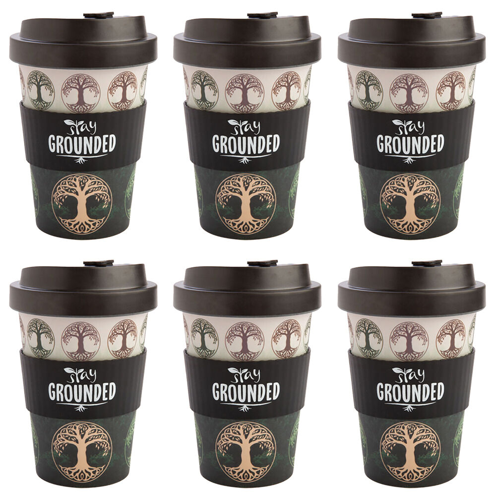 /assets/full/MDI-LT-EGC-TL_6PK.jpg?20250619180110