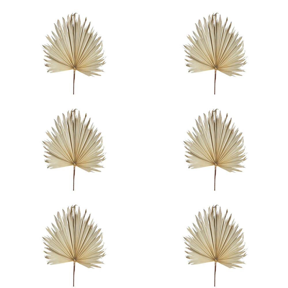 /assets/full/P214CR_6PK.jpg?20241108151532