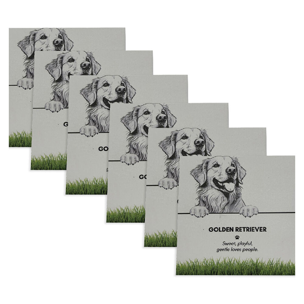 /assets/full/PET-CST07_6PK.jpg?20250922120323